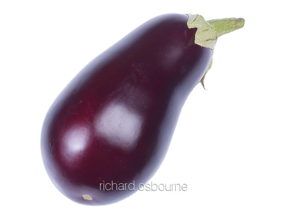 V8FD16  Aubergine