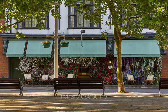 Dove House Green and The Ivy, Chelsea for Property Developer