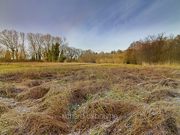 V8N33  NWT Lolly Moor, Norfolk, UK