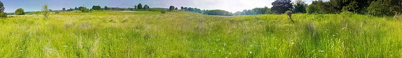 V6N11  Buxton Common, Norfolk, UK