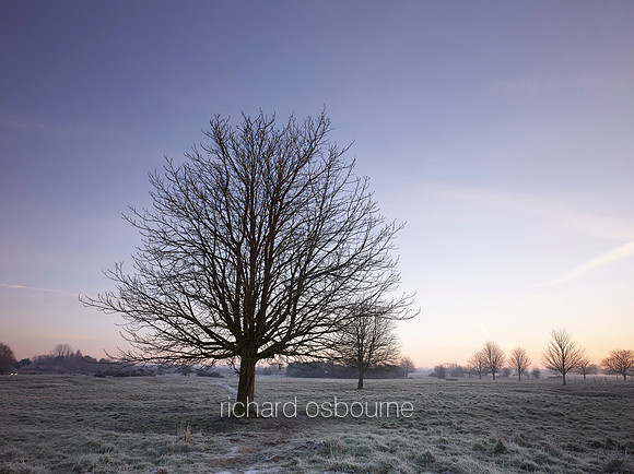 NWT New Buckenham Common, Norfolk, UK