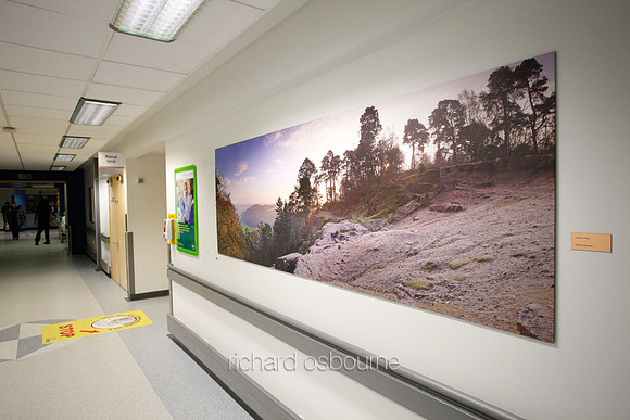 UHSM Wythenshawe Hospital - Panoramic Diptych PhotoPanel, 2700 x 900mm