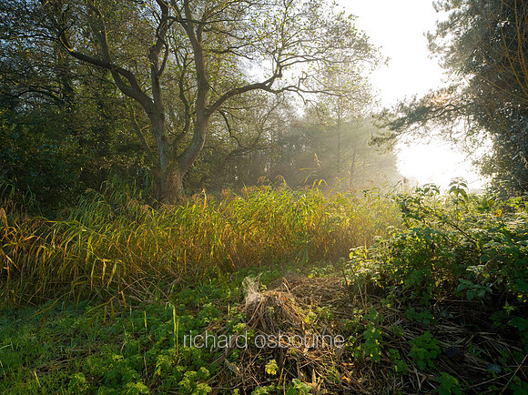 V5N47  Winter, Upton Broad and Marshes, Norfolk, UK