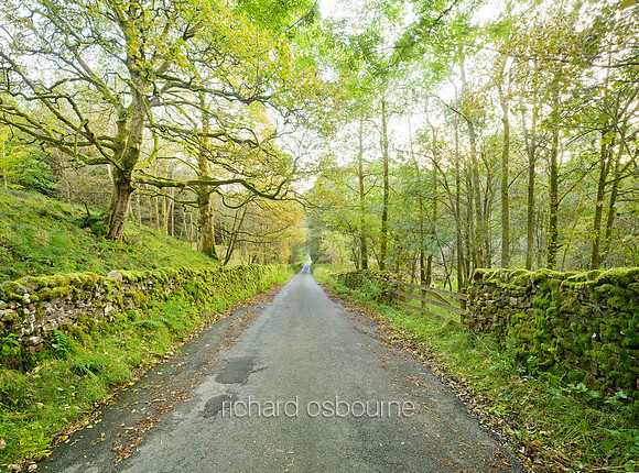 V5F34  Gisburn Forest, Forest of Bowland, Lancashire, UK