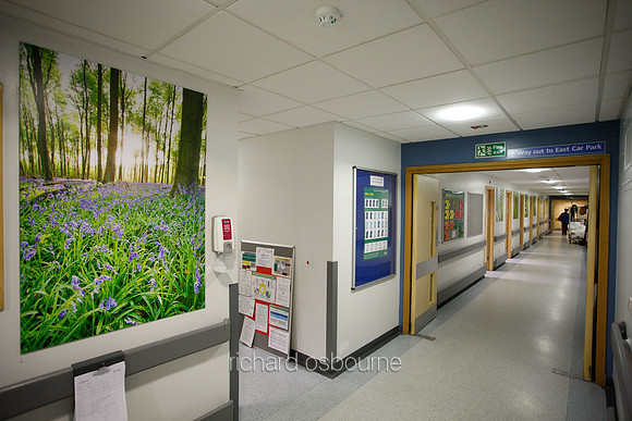 UHSM Wythenshawe Hospital - PhotoPanel, 900 x 1350mm