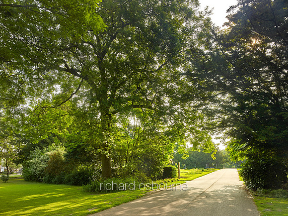 V12C6  Abbey Gardens, Bury St Edmunds, Suffolk, UK