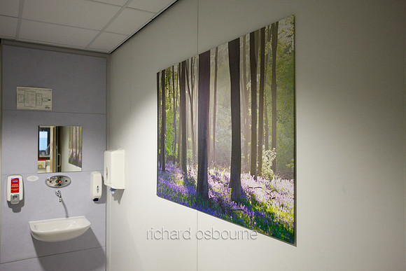 UHSM Wythenshawe Hospital - PhotoPanel, 1350 x 900mm