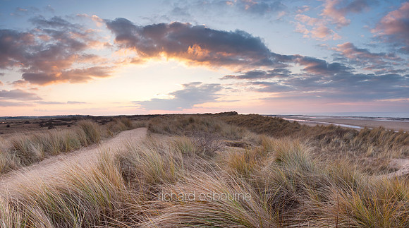 V4N16 Holme Dunes VI