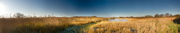 P1W2 Hickling Broad II