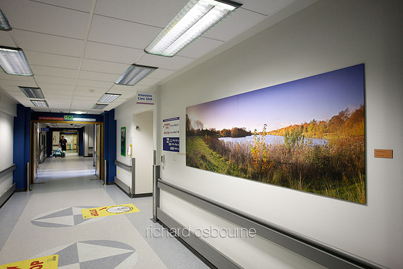 UHSM Wythenshawe Hospital - Panoramic Diptych PhotoPanel, 2700 x 900mm