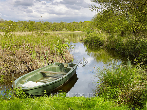 V8N38  NWT Alderfen Broad, Norfolk, UK