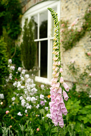 L1G14 Victorian Garden