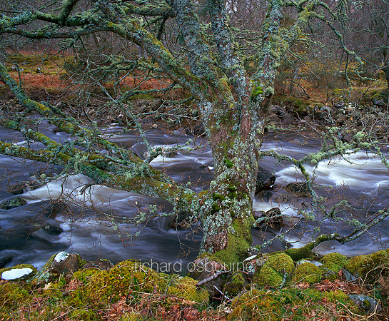 V1S10 River Talladale, Loch Maree, Wester Ross