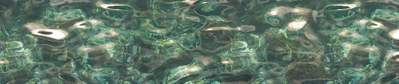 P5W2  Water Reflections