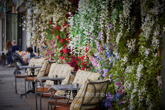 Dove House Green and The Ivy, Chelsea for Property Developer