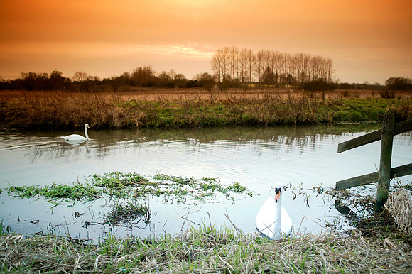 L1N30 Harford Marshes
