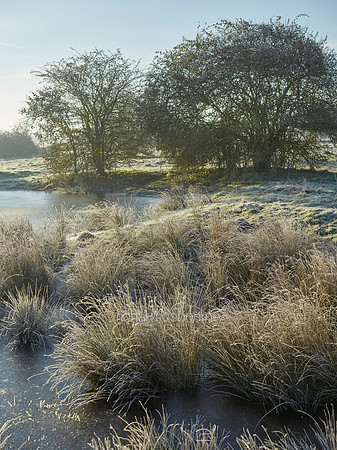 NWT New Buckenham Common, Norfolk, UK