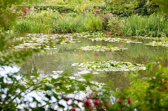 L1G7 Monet’s Garden, Giverny