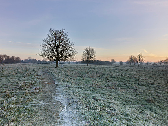 NWT New Buckenham Common, Norfolk, UK