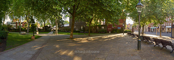 Dove House Green and The Ivy, Chelsea for Property Developer