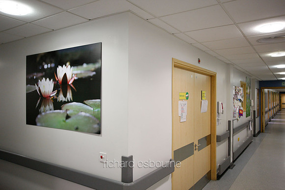 UHSM Wythenshawe Hospital - PhotoPanel, 1350 x 900mm