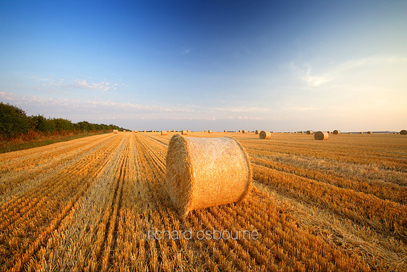 V1N25 Round Wheat Bales In Field After Harvesting