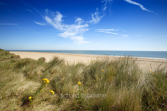 L1N34 Dunes, Horsey