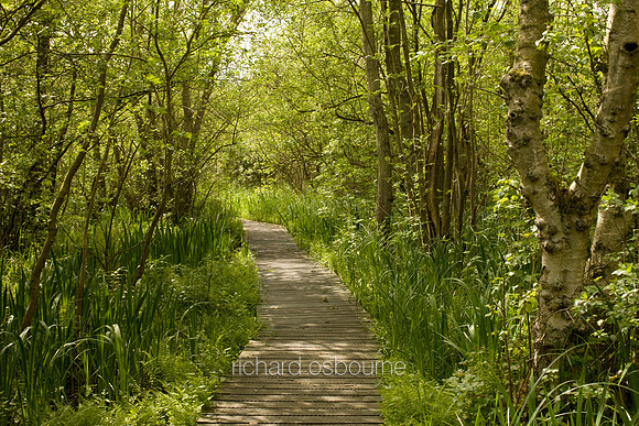 V3L35 Bure Marshes I