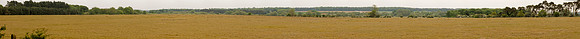 P2L28  NWT Weeting Heath, Norfolk, UK
