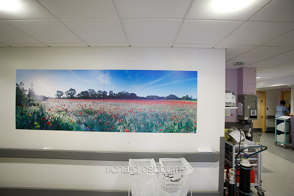UHSM Wythenshawe Hospital - Panoramic Diptych PhotoPanel, 2700 x 900mm