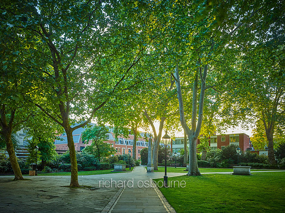 Dove House Green and The Ivy, Chelsea for Property Developer