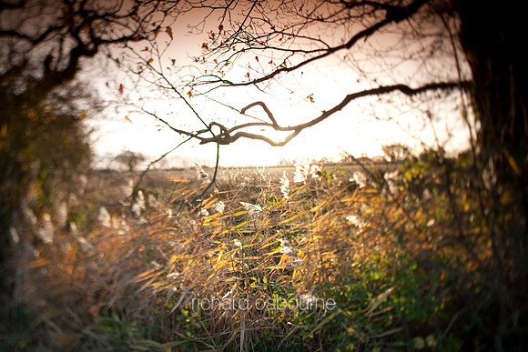V4L4 Norfolk Broads Winter I