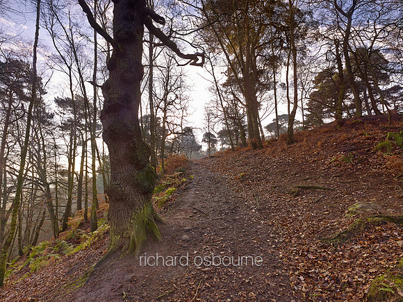 V8F9  Alderley Edge, Cheshire, UK