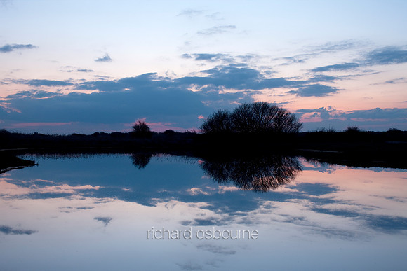 V4N13 Holme Dunes VIII