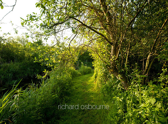 V5N44  Ted Ellis Nature Reserve, Norfolk Broads, UK
