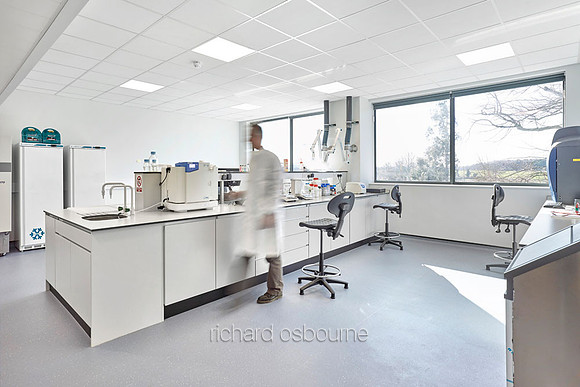 Leaf Systems, Norwich for LSI