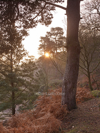V7L19  Alderley Edge, Cheshire, UK