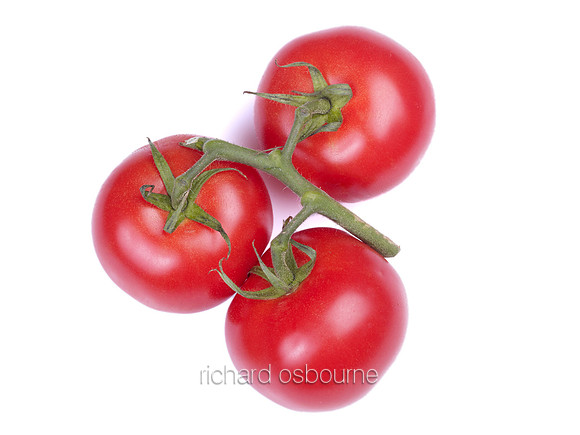 V8FD10  Tomatoes on the Vine