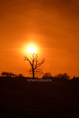 L1L39 Winter Sunset