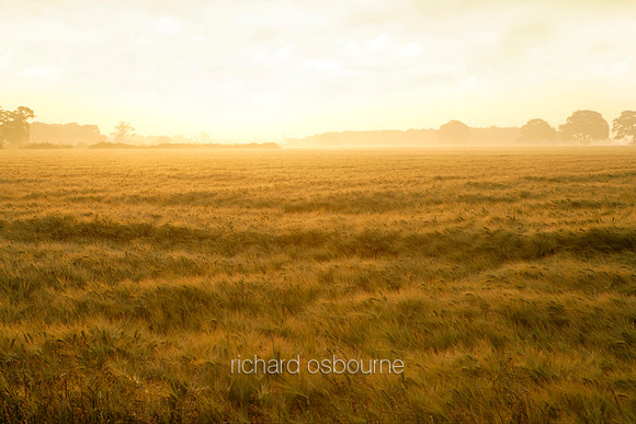 L1L2 Dawn, South Norfolk
