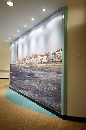 PhotoWall Laminated Wallpaper 4.5 x 2.4m