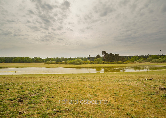 V5N7  Langmere, NWT East Wretham Heath, Norfolk, UK