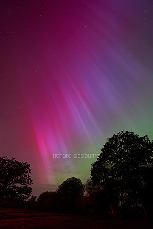 V19S2  Aurora Borealis Over The New Forest, 10th May 2024