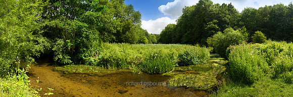 V1P16 River Tas, Smockmill Common, Norfolk