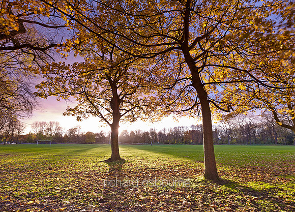 V7F35  Alexandra Park, Manchester, UK