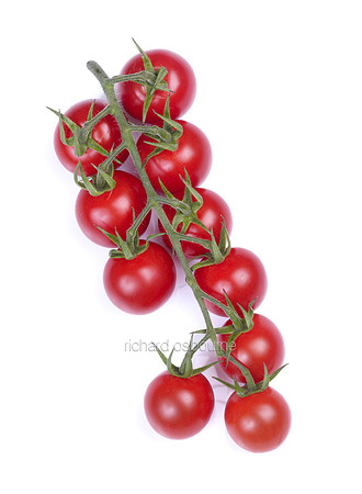 V8FD9  Cherry Tomatoes on the Vine