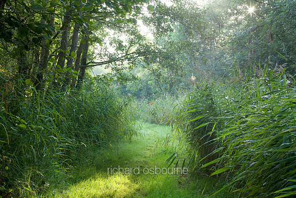 V5N15  Upton Broad and Marshes, Norfolk Broads, UK