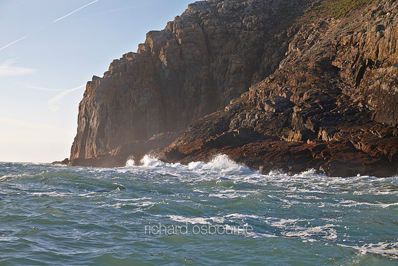 V8L37  Ramsey Island, Pembrokeshire, Wales, UK
