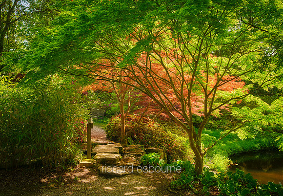 V19G6  Exbury Gardens, New Forest, Hampshire, UK