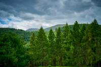 V20L8  Mountains of Mourne, Tollymore Forest Park, County Down, Northern Ireland